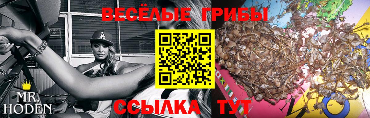 купить закладку  Псилоцибиновые грибы Cubensis  Вход с VPN  Казань 
