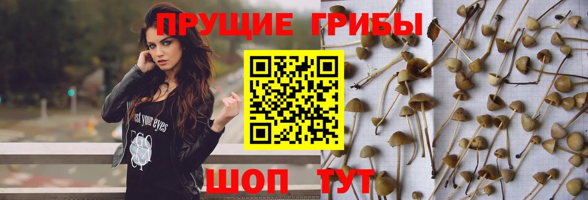 Галлюциногенные грибы мицелий Казань